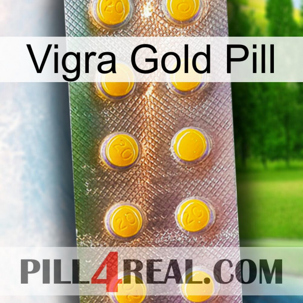 Vigra Gold Pill new11.jpg